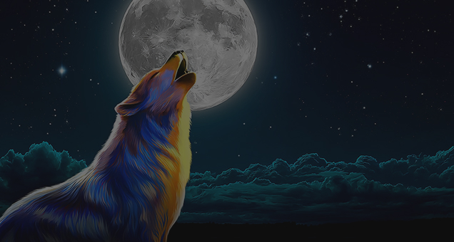Wolf Gold